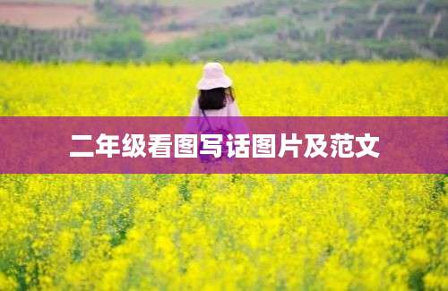 二年级看图写话图片及范文