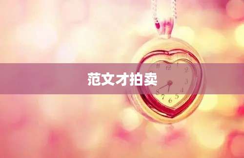 范文才拍卖