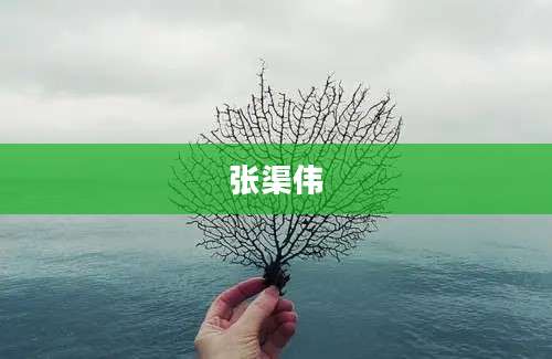 张渠伟