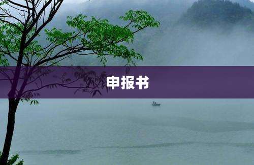 申报书