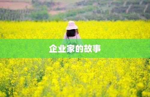 企业家的故事