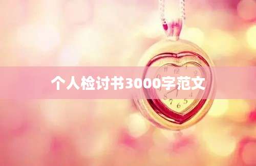 个人检讨书3000字范文