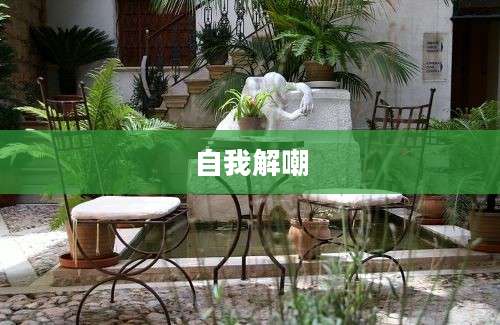 自我解嘲