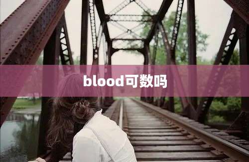 blood可数吗