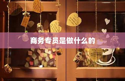 商务专员是做什么的