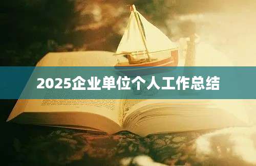 2025企业单位个人工作总结