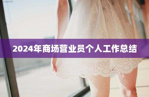 2024年商场营业员个人工作总结