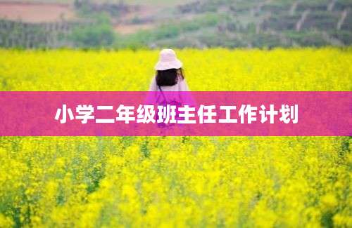 小学二年级班主任工作计划