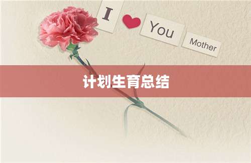 计划生育总结