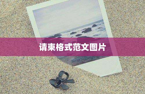 请柬格式范文图片