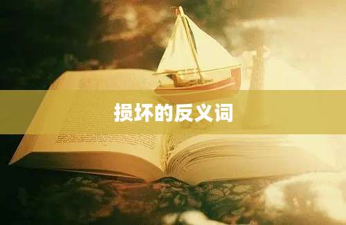 损坏的反义词