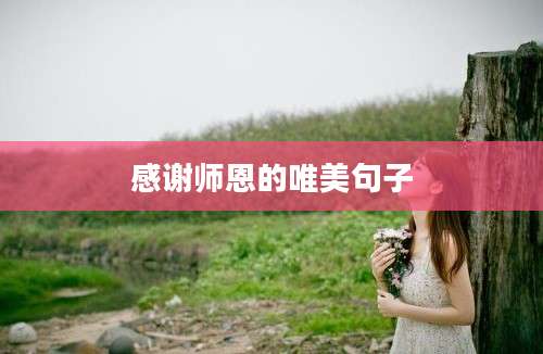 感谢师恩的唯美句子