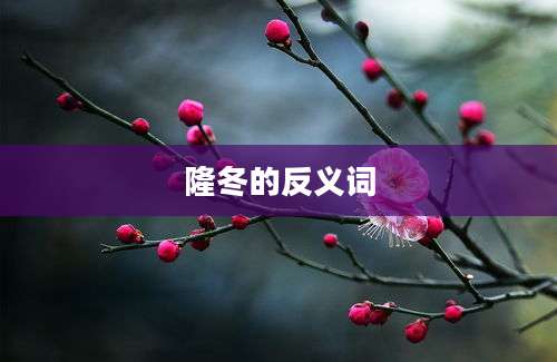 隆冬的反义词