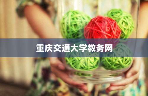 重庆交通大学教务网