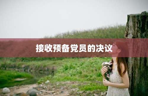 接收预备党员的决议