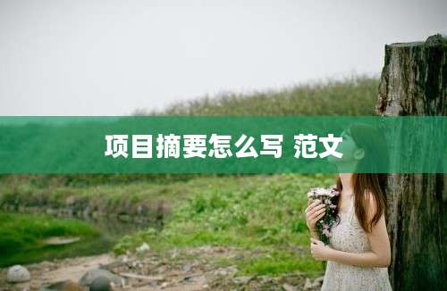 项目摘要怎么写 范文