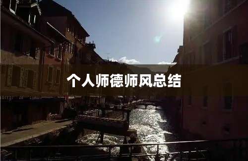 个人师德师风总结