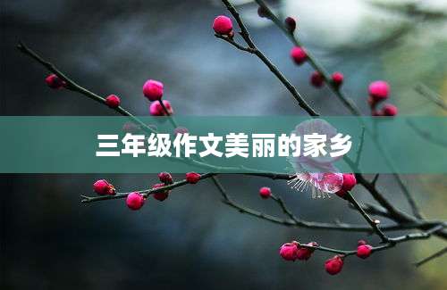 三年级作文美丽的家乡