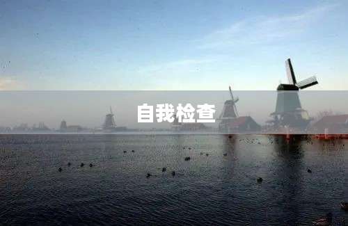 自我检查