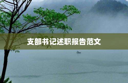 支部书记述职报告范文