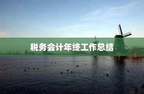 税务会计年终工作总结