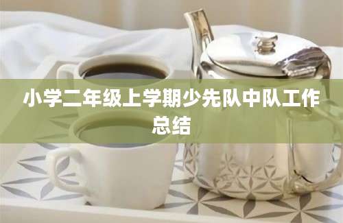 小学二年级上学期少先队中队工作总结