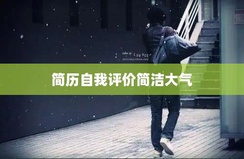 简历自我评价简洁大气