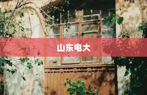 山东电大