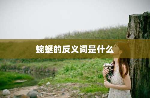 蜿蜒的反义词是什么