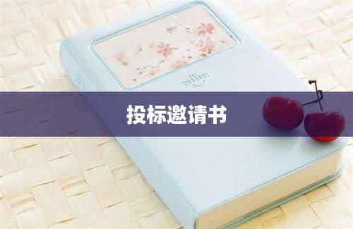 投标邀请书