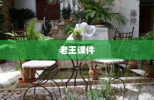 老王课件