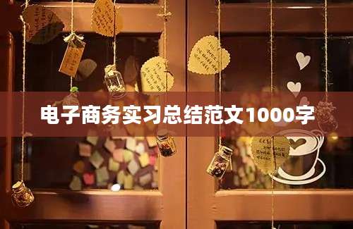 电子商务实习总结范文1000字