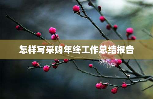 怎样写采购年终工作总结报告