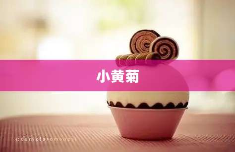小黄菊