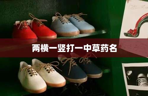 两横一竖打一中草药名