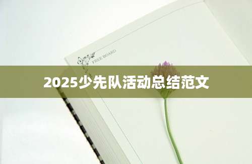 2025少先队活动总结范文