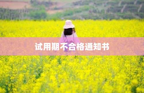 试用期不合格通知书