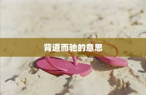 背道而驰的意思