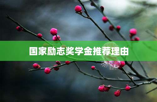 国家励志奖学金推荐理由