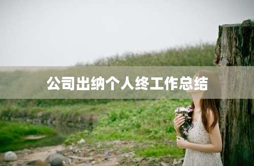 公司出纳个人终工作总结