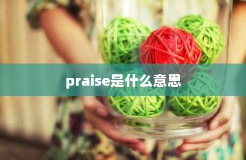 praise是什么意思