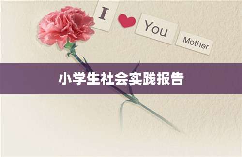 小学生社会实践报告