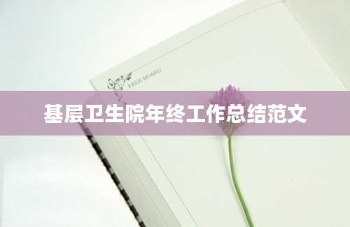 基层卫生院年终工作总结范文