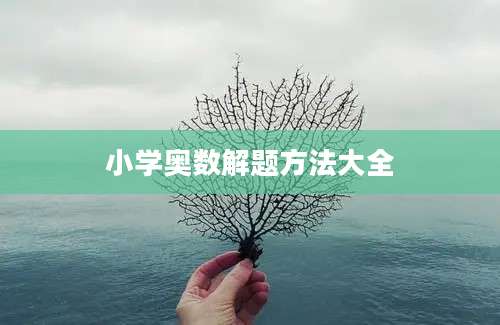 小学奥数解题方法大全