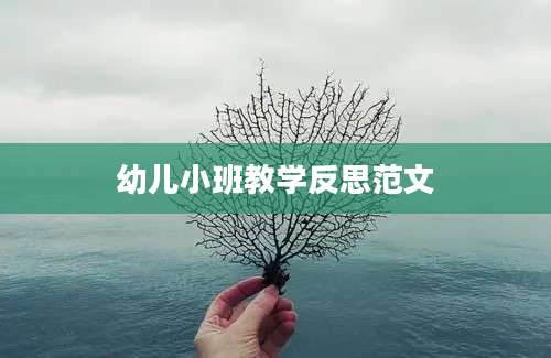 幼儿小班教学反思范文