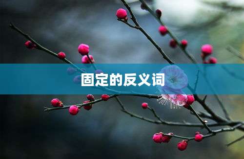 固定的反义词