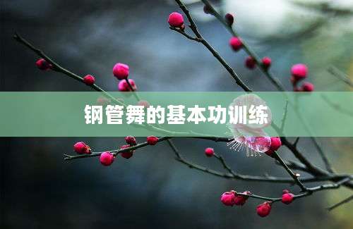 钢管舞的基本功训练
