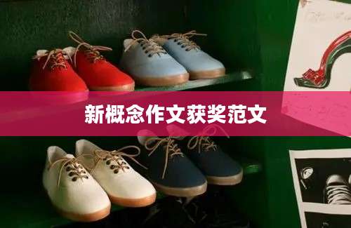 新概念作文获奖范文