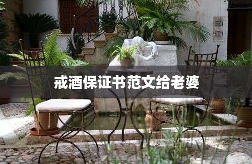 戒酒保证书范文给老婆