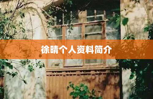 徐晴个人资料简介